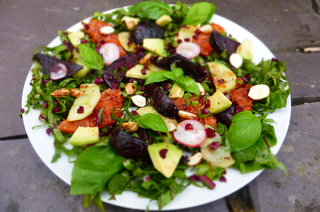 Chargrilled Ruby Grapefruit, Beetroot and Cobnut Salad with Aronia Berry Dressing